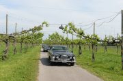 Le Jaguar nella zona del Prosecco e Cartize (134/152)